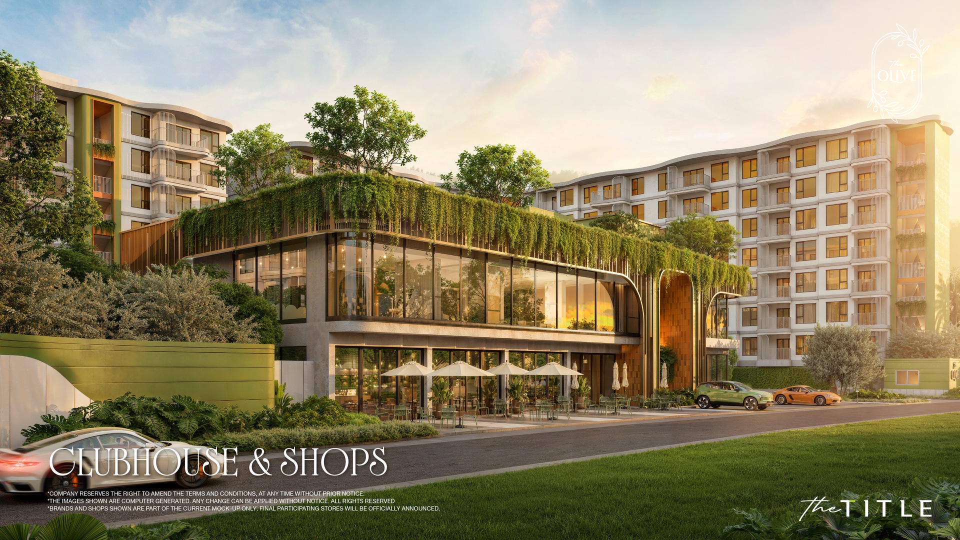 The Olive, фото 3