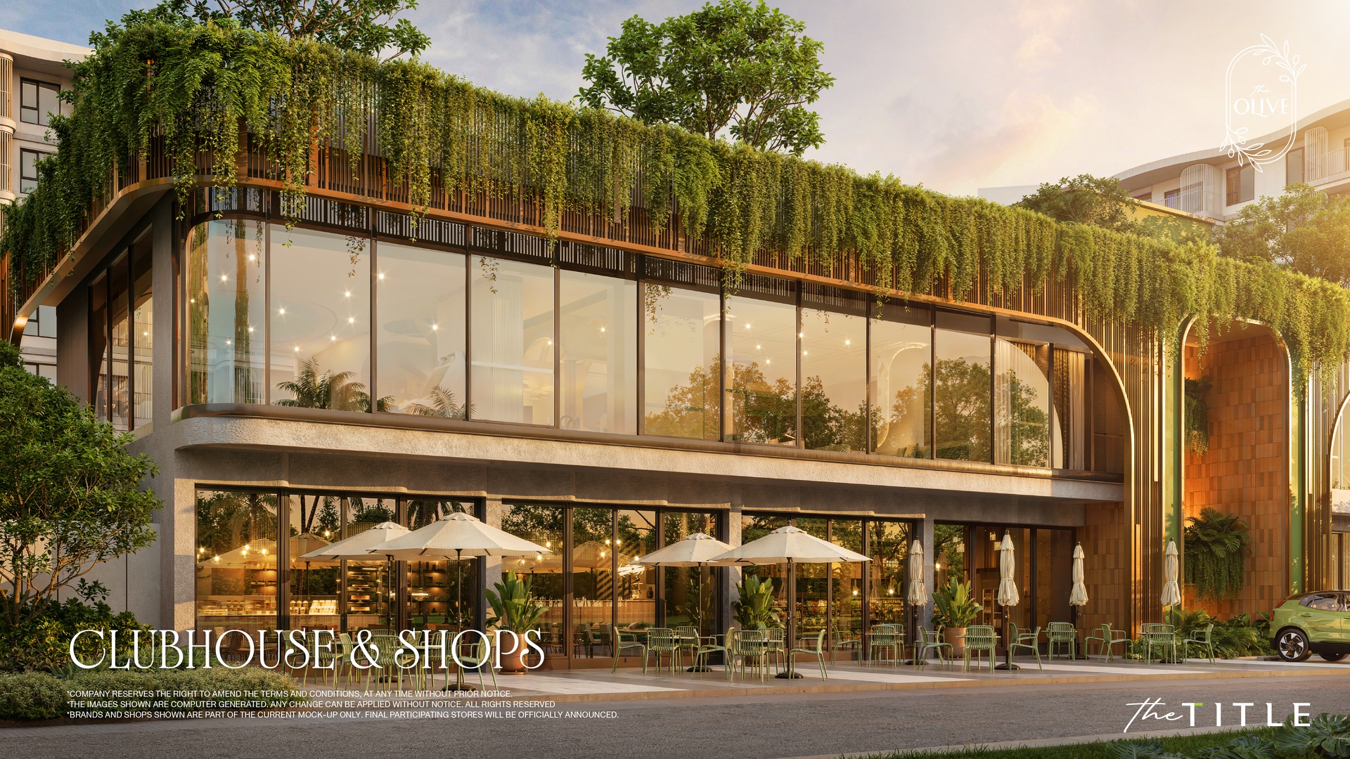 The Olive, фото 4