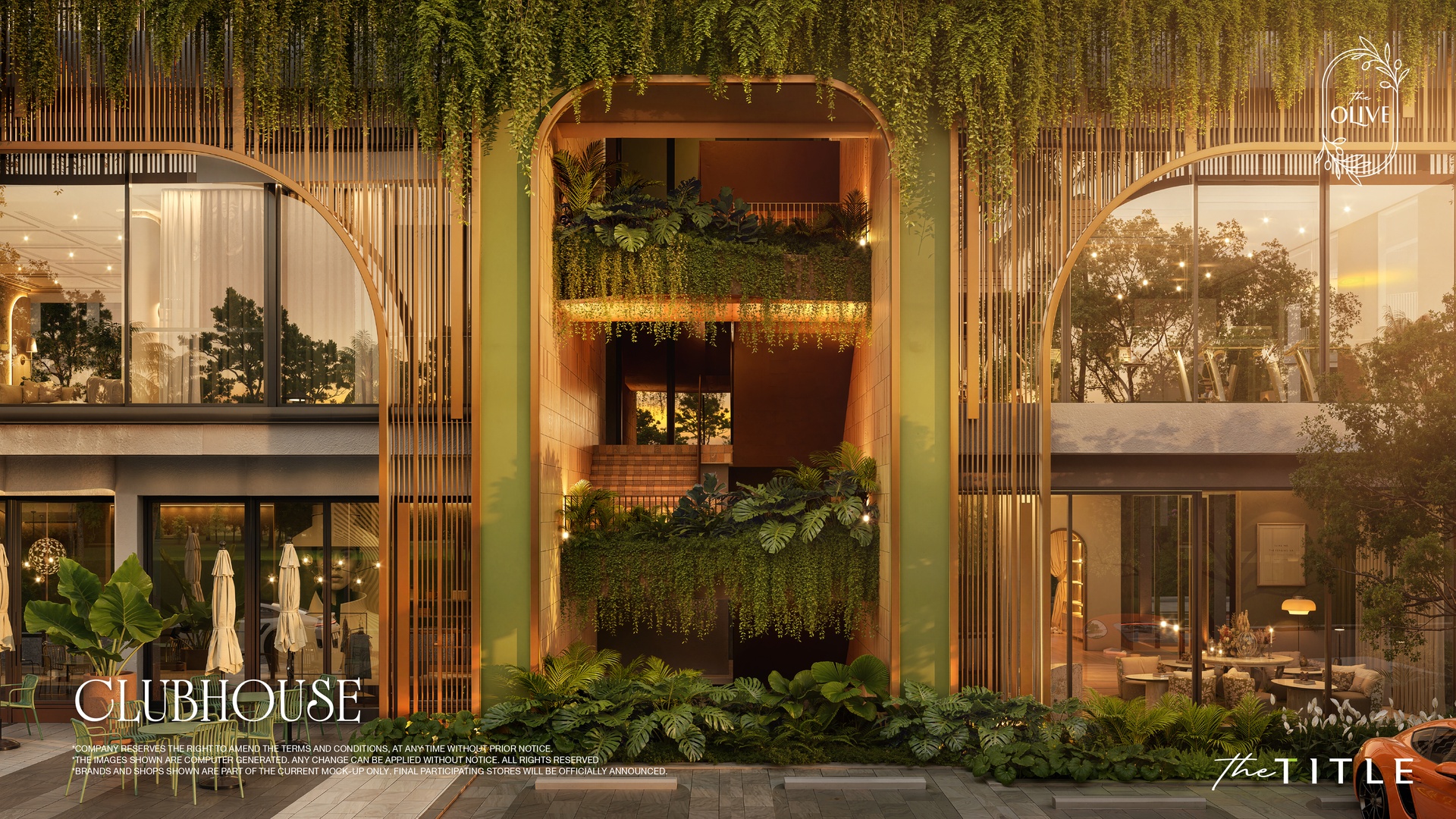 The Olive, фото 6